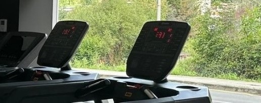 AYUDAS LEADER ALTO NALÓN