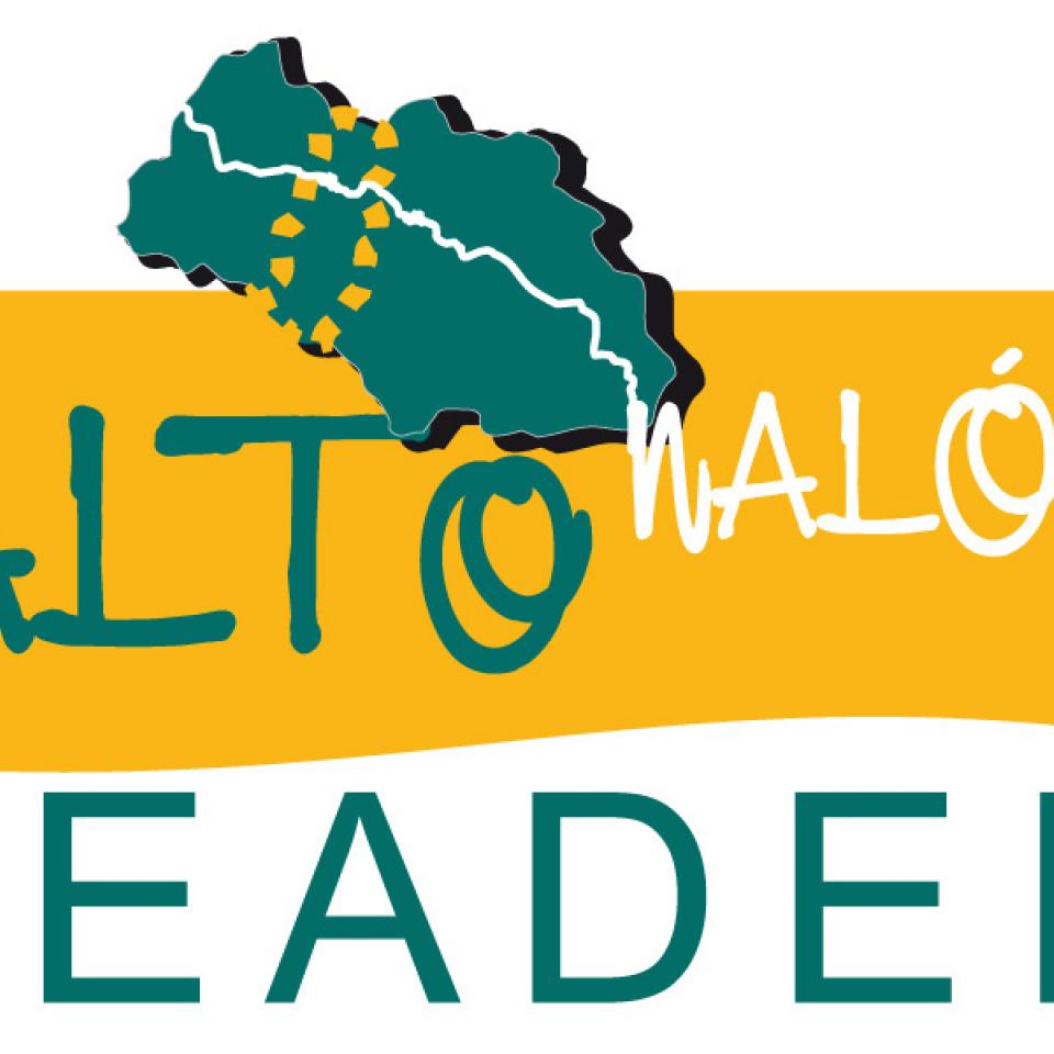 AYUDAS LEADER ALTO NALÓN
