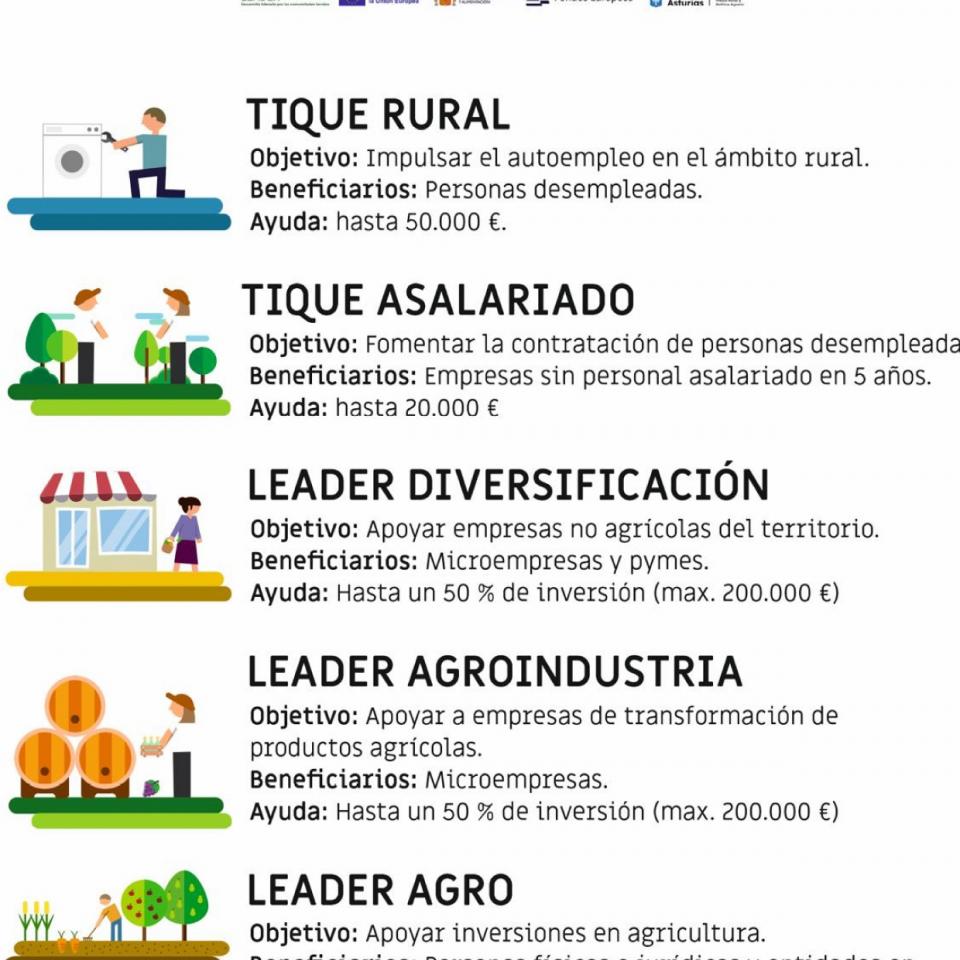 AYUDAS LEADER ALTO NALÓN