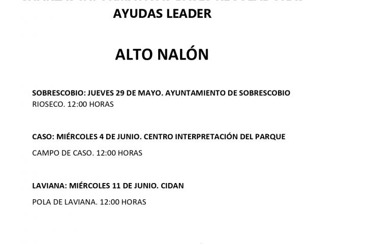 PUBLICACIÓN BASES REGULADORAS LEADER ALTO NALÓN