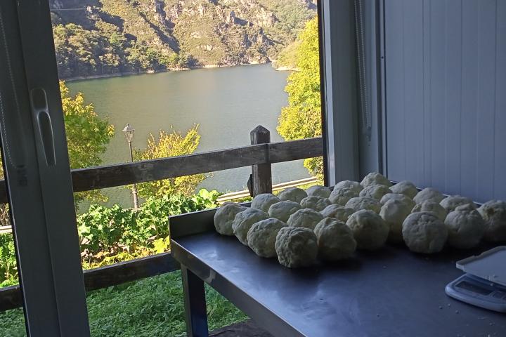 AYUDAS LEADER ALTO NALÓN